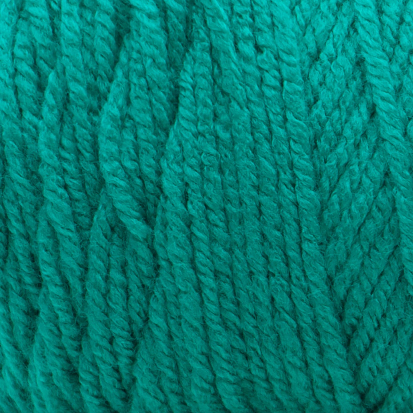 Bernat Premium Yarn