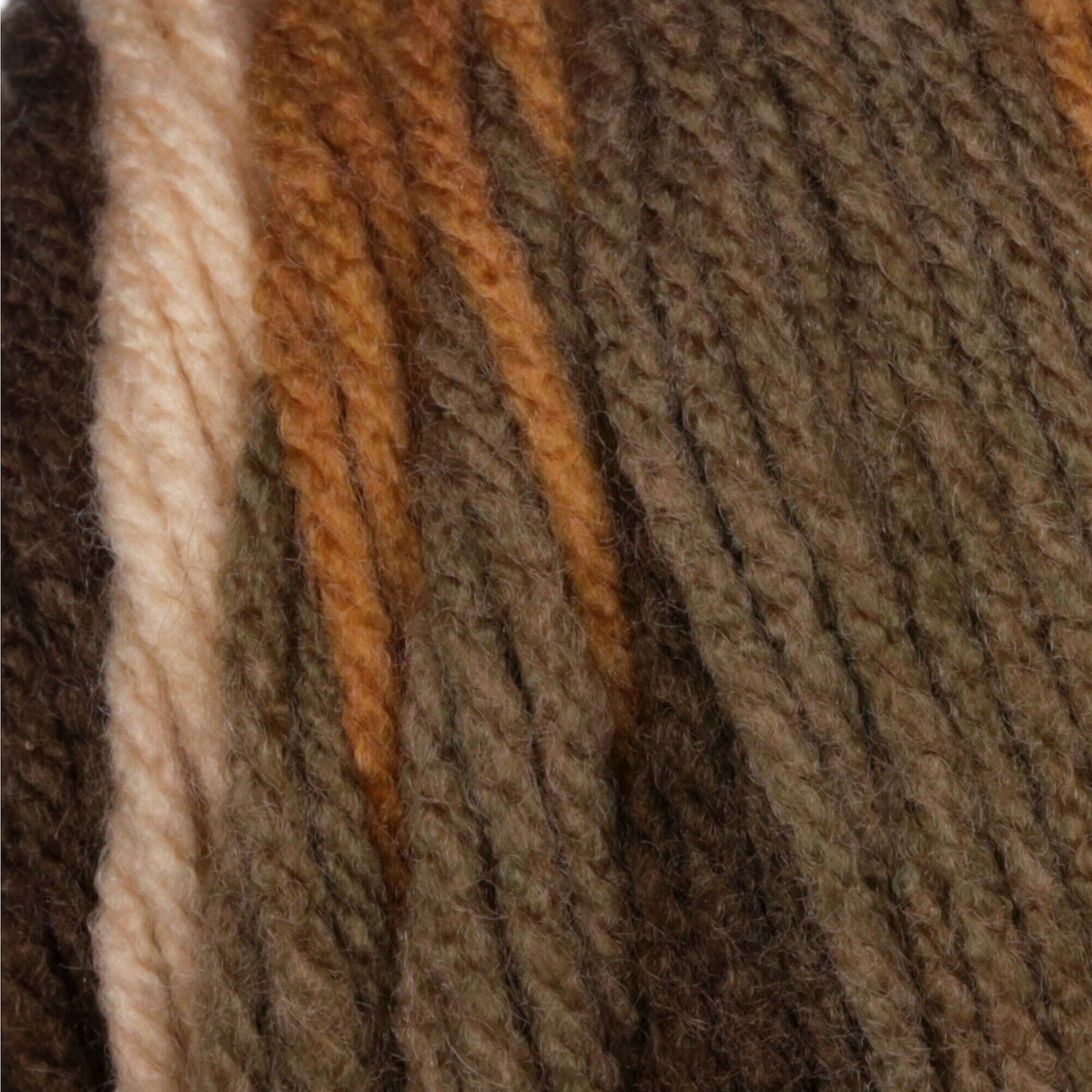 Bernat Super Value Stripes Yarn