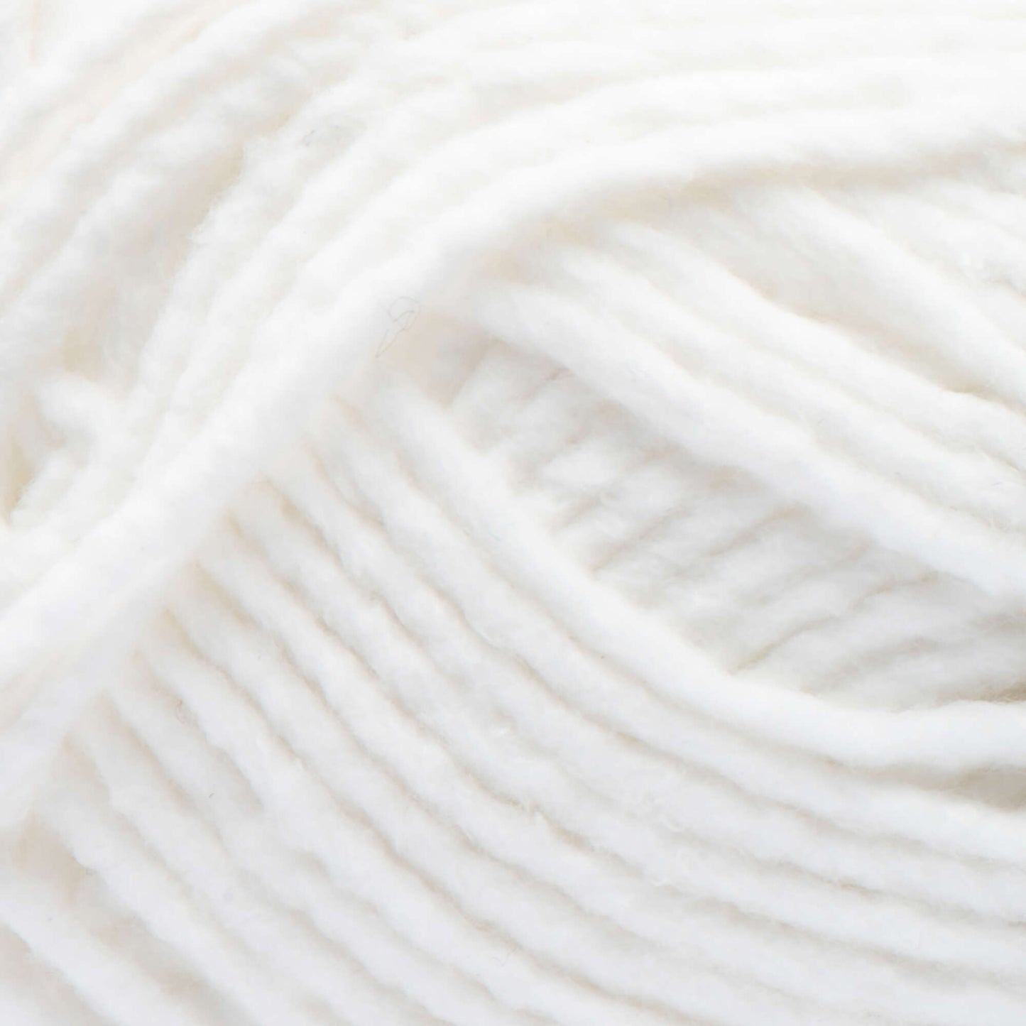 Bernat Forever Fleece Yarn