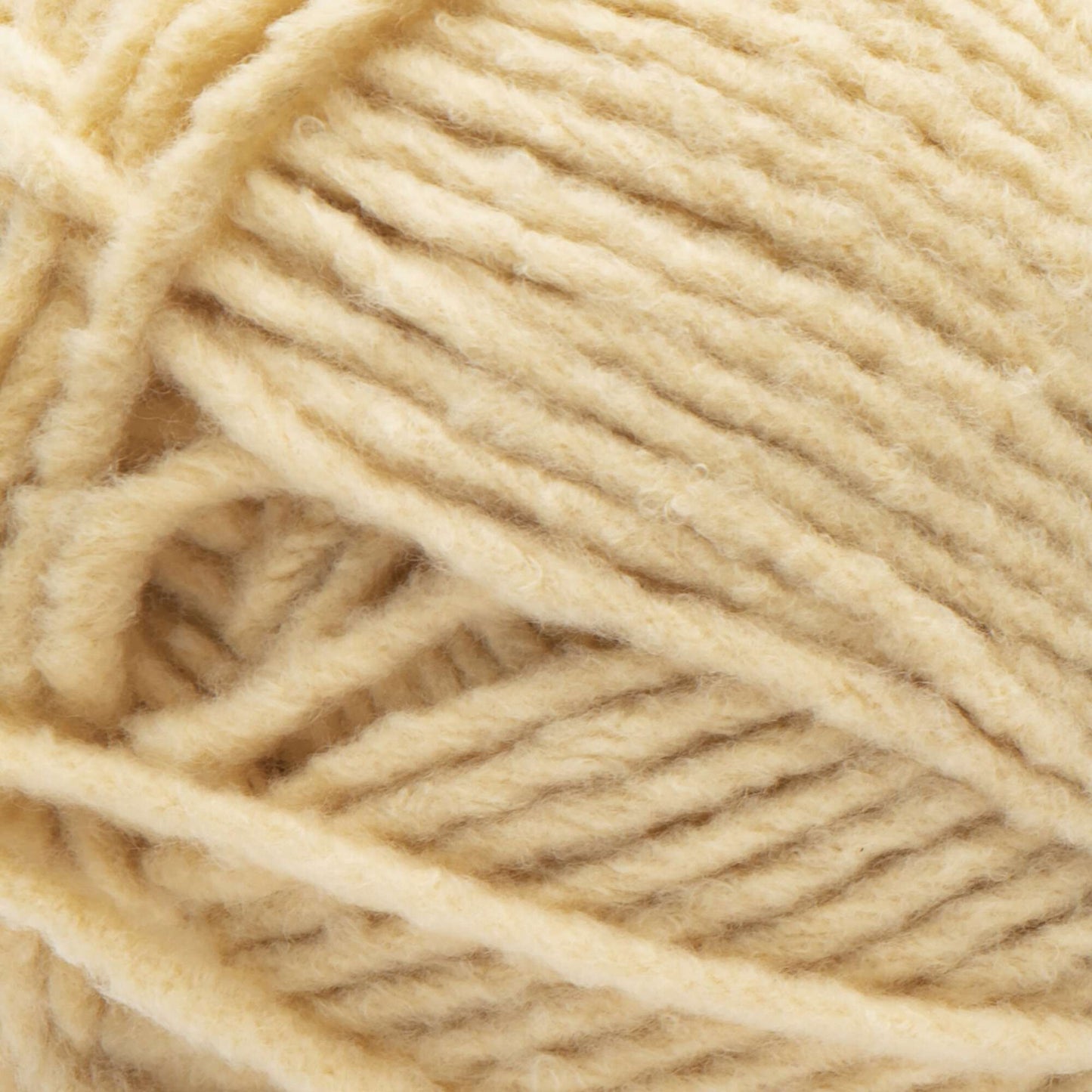 Bernat Forever Fleece Yarn
