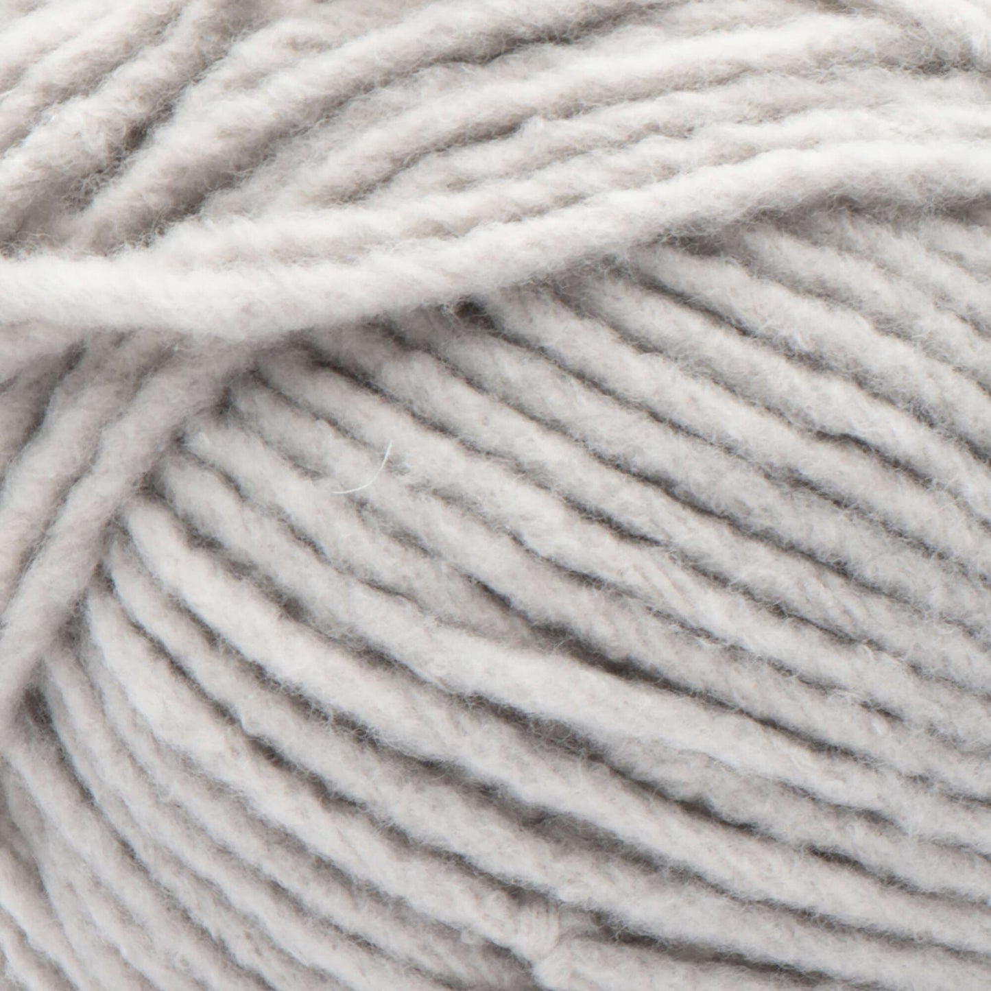 Bernat Forever Fleece Yarn