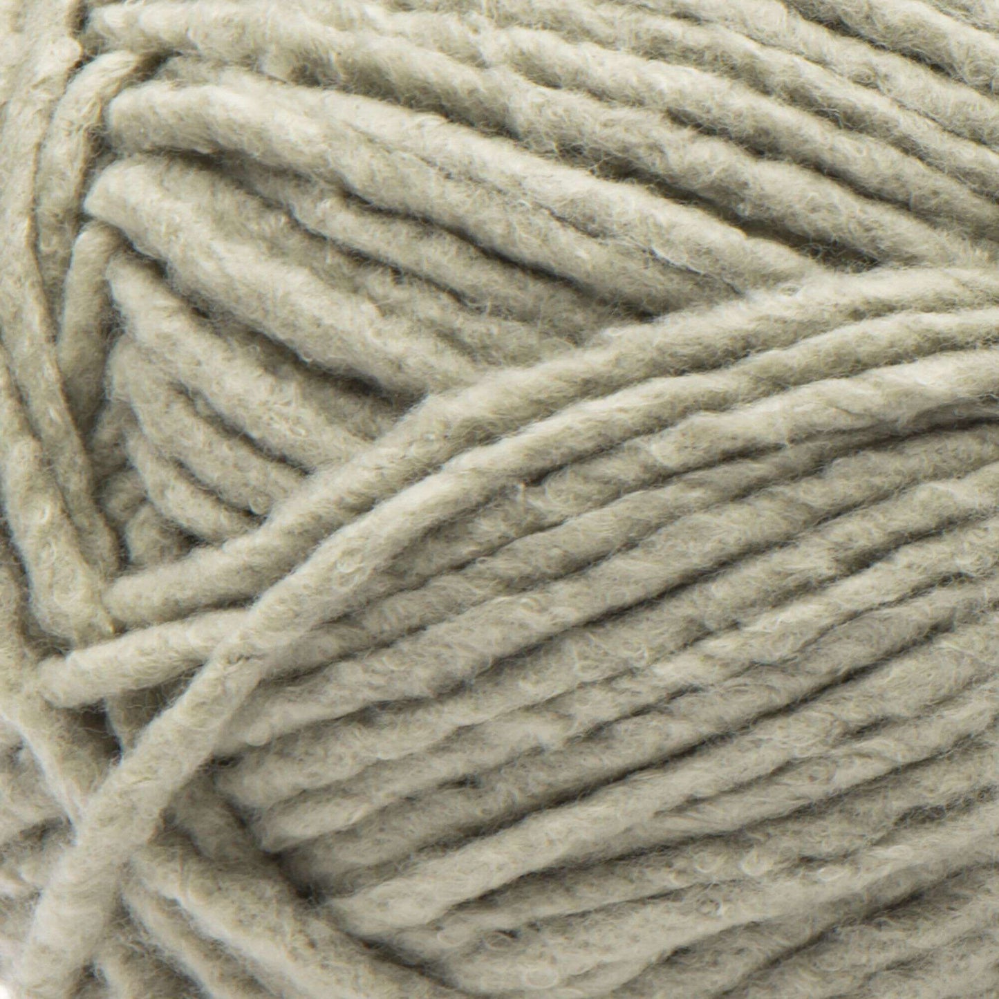 Bernat Forever Fleece Yarn