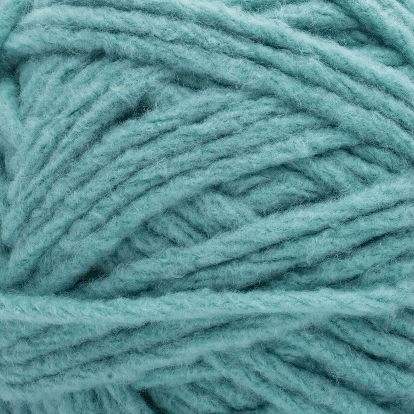 Bernat Forever Fleece Yarn