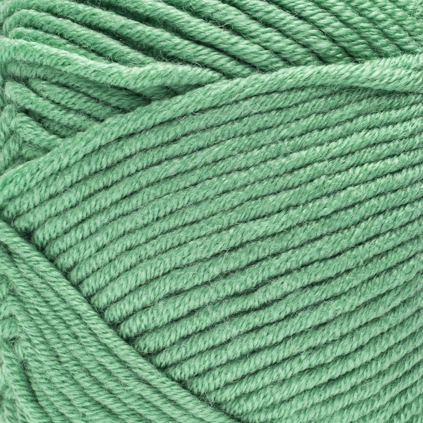 Caron Simply Me Yarn (160g/5.64oz)