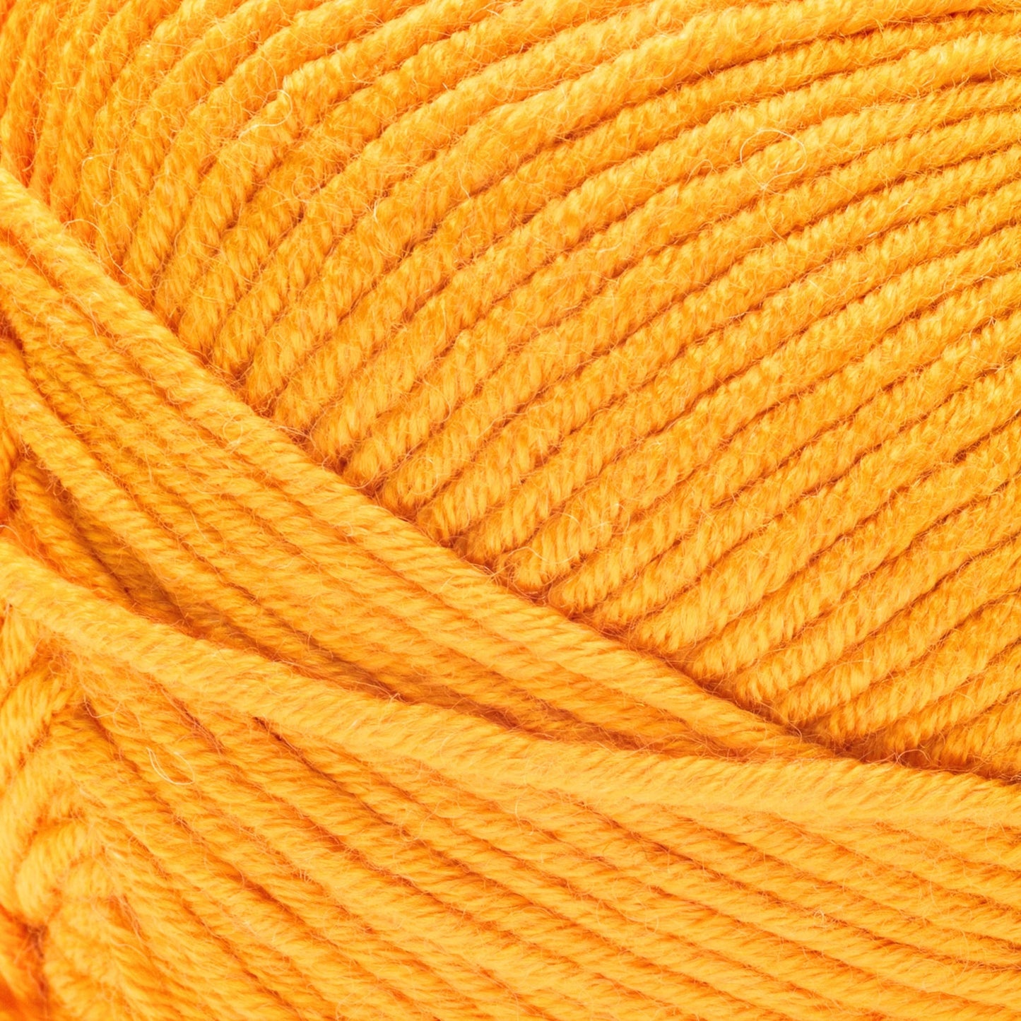 Caron Simply Me Yarn (160g/5.64oz)
