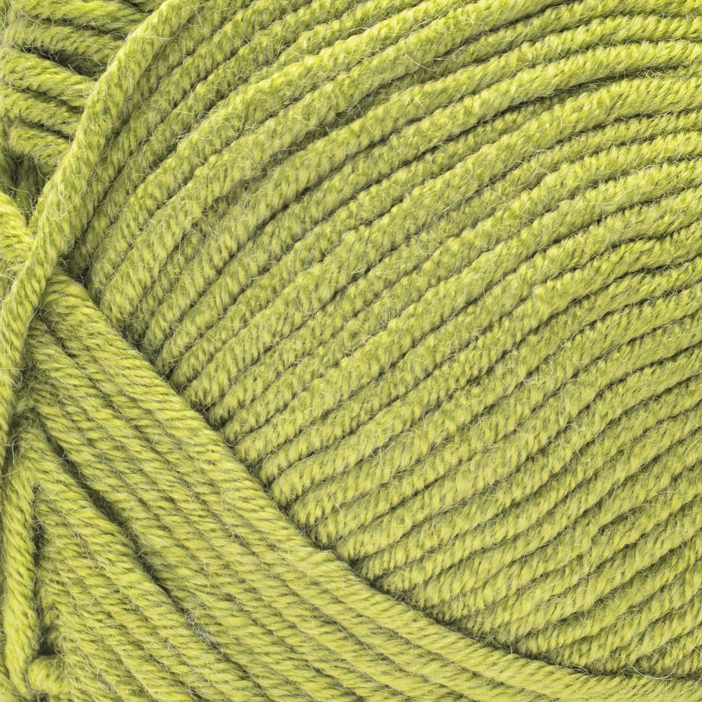 Caron Simply Me Yarn (160g/5.64oz)