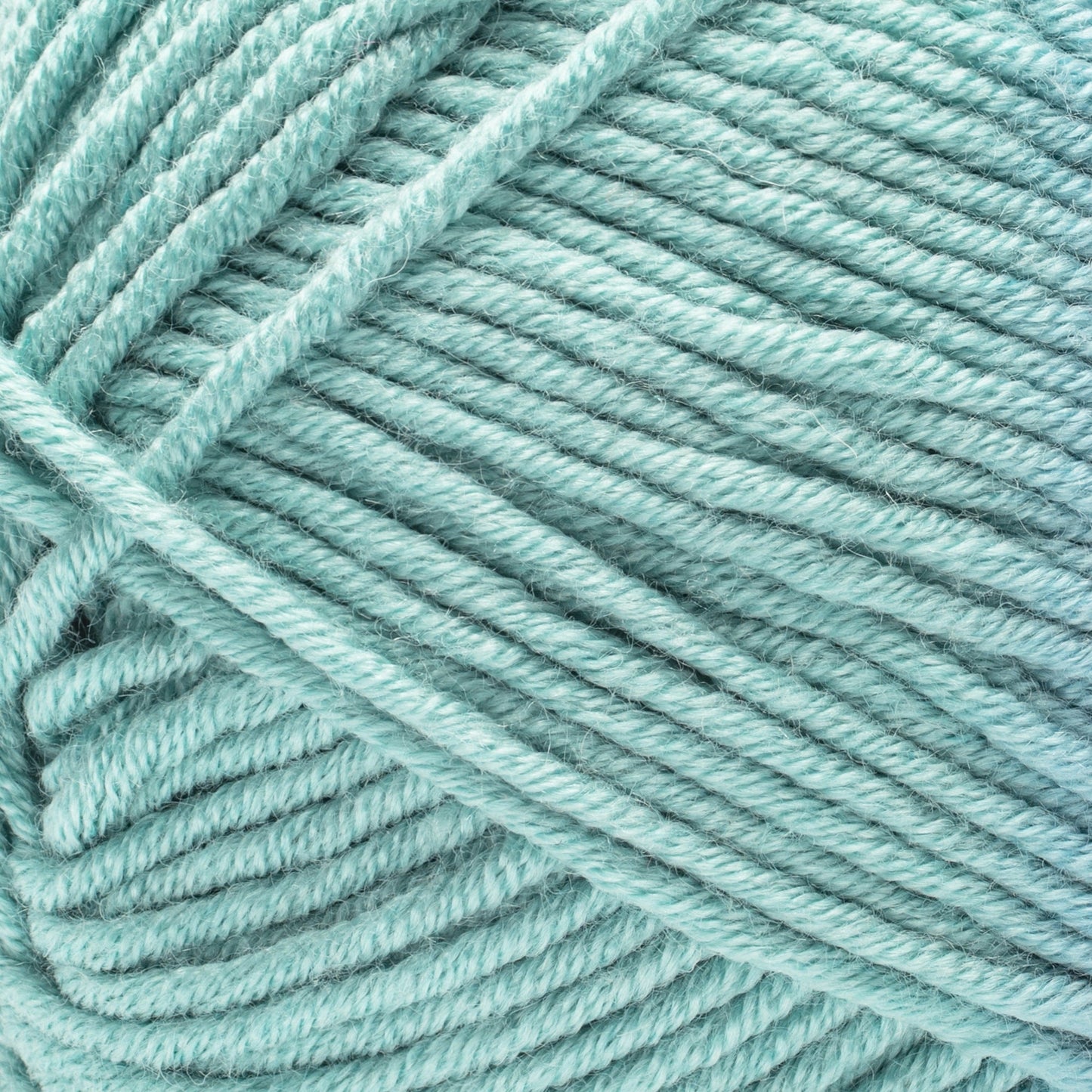 Caron Simply Me Yarn (160g/5.64oz)