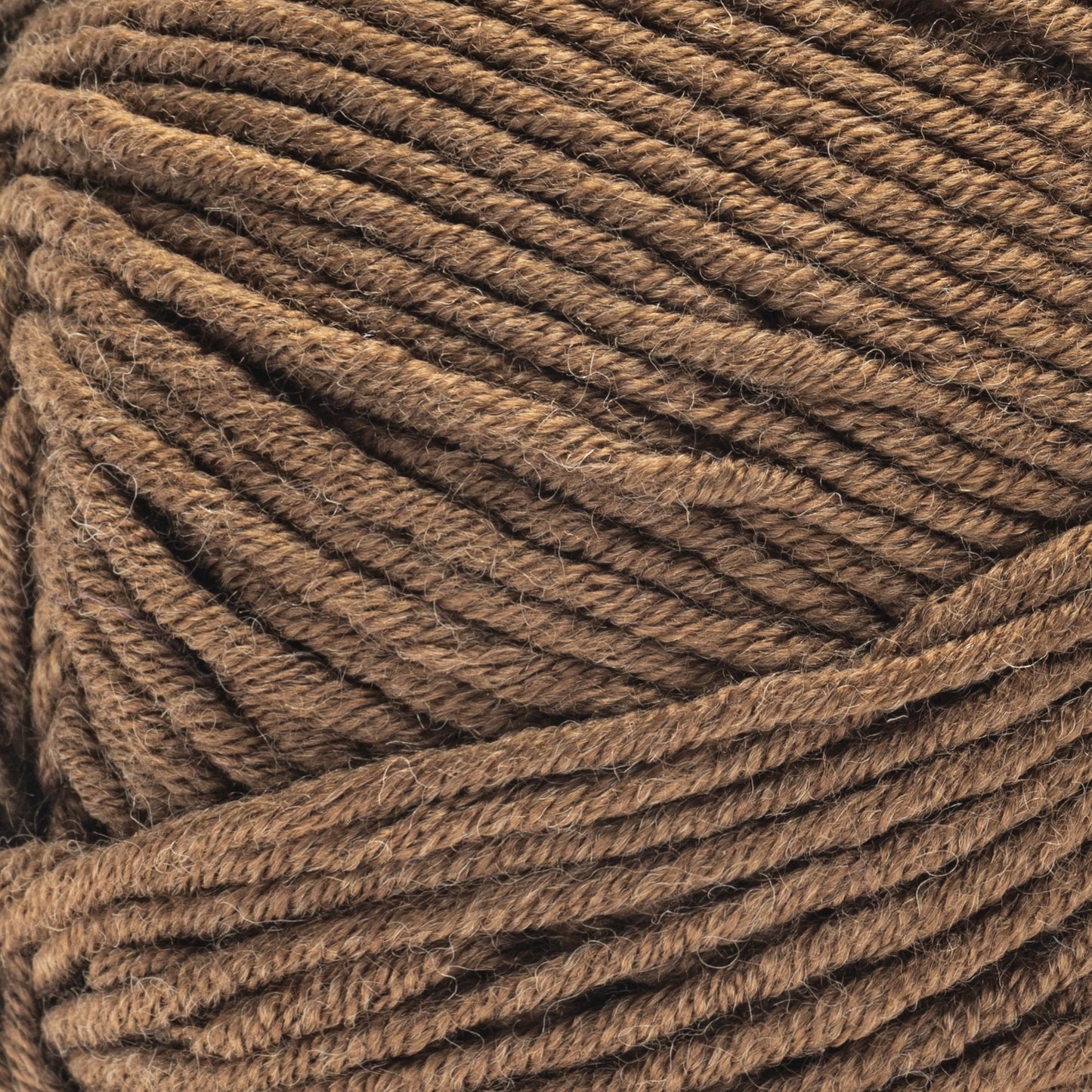 Caron Simply Me Yarn (160g/5.64oz)