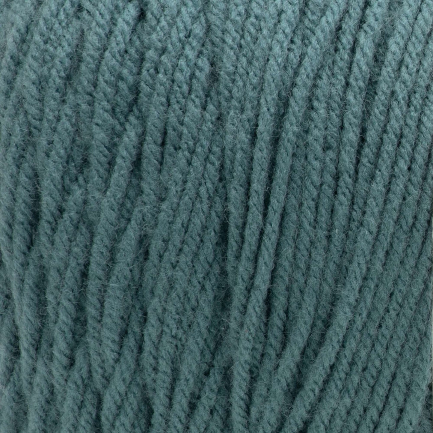 Caron One Pound Yarn (454g/16oz)