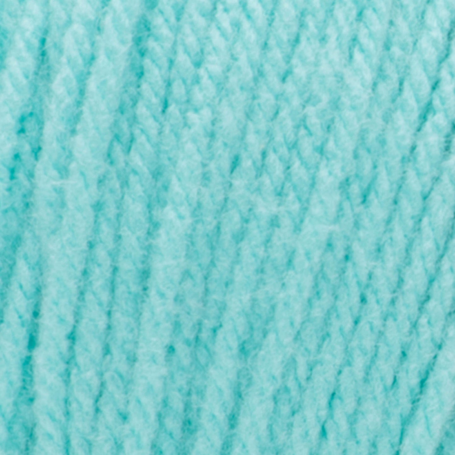 Caron One Pound Yarn (454g/16oz)