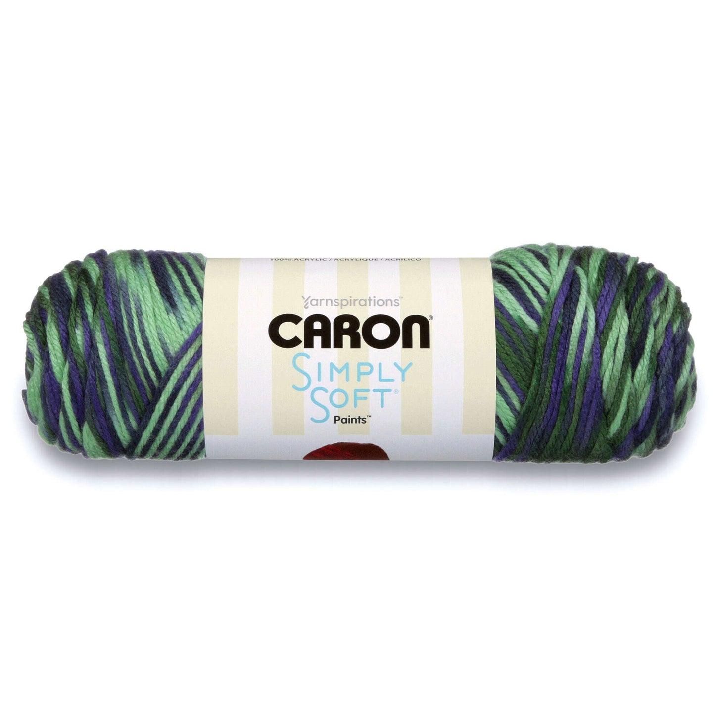 Caron Simply Soft Paints Yarn