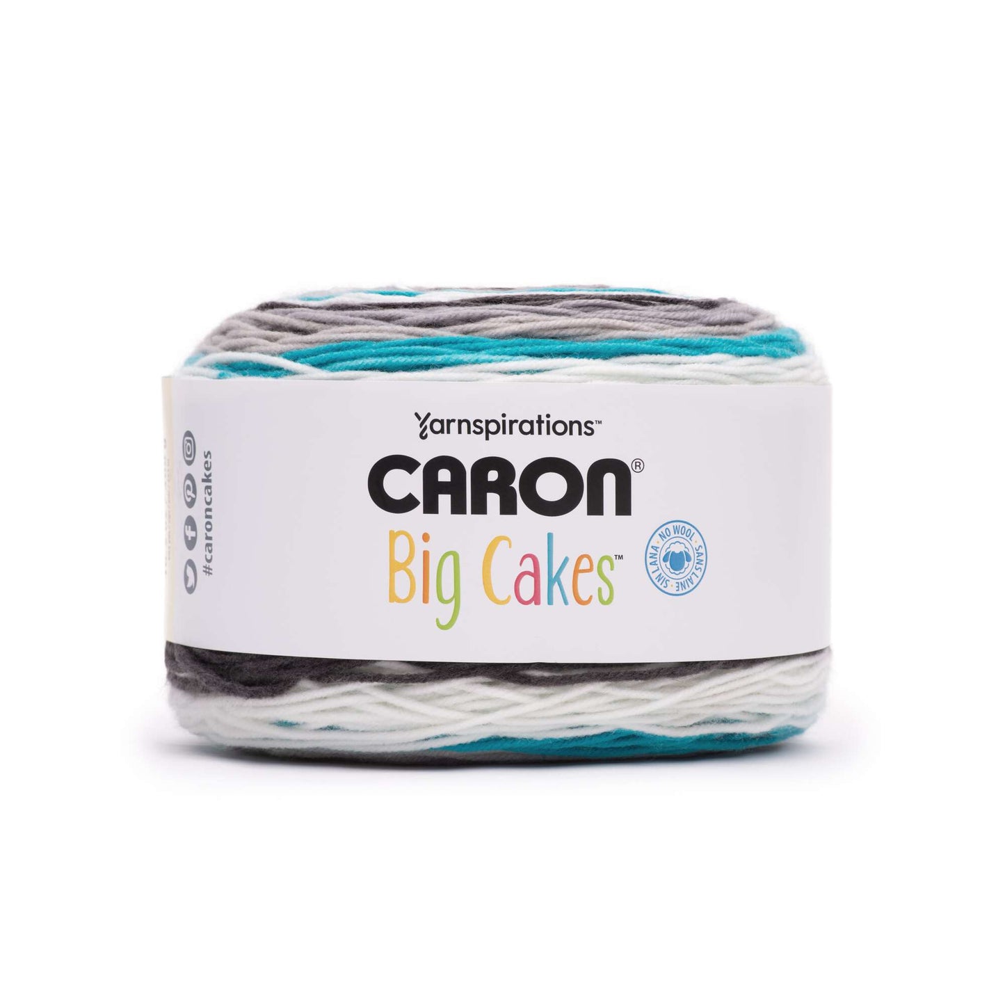 Caron Big Cakes Yarn - Retailer Exclusive