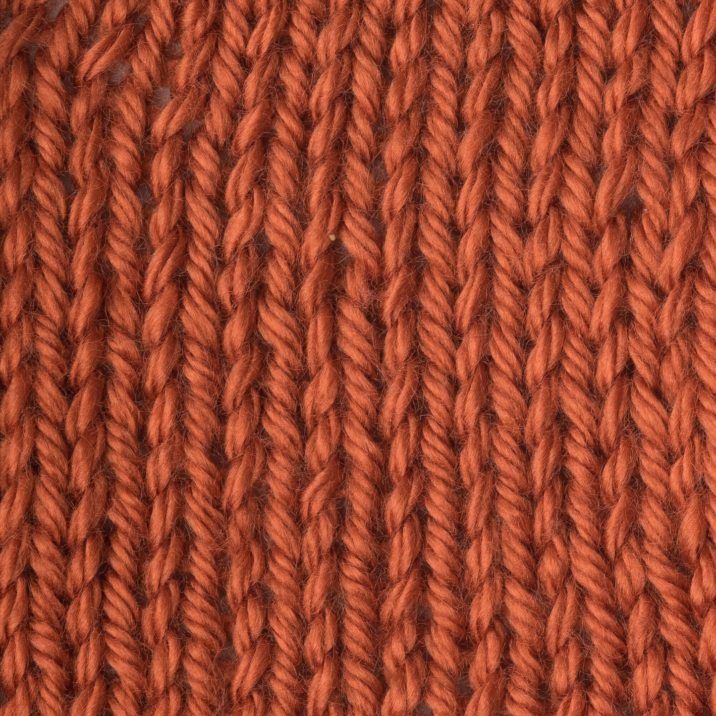 Caron Simply Soft Yarn
