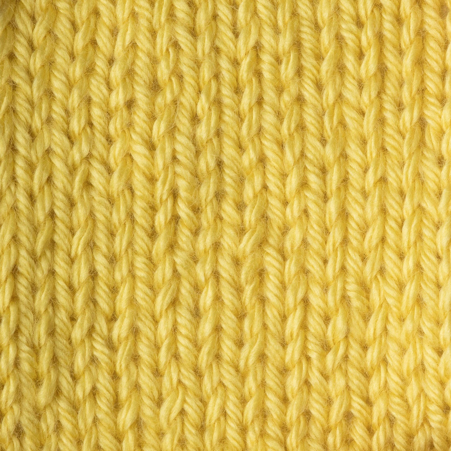 Caron Simply Soft Yarn