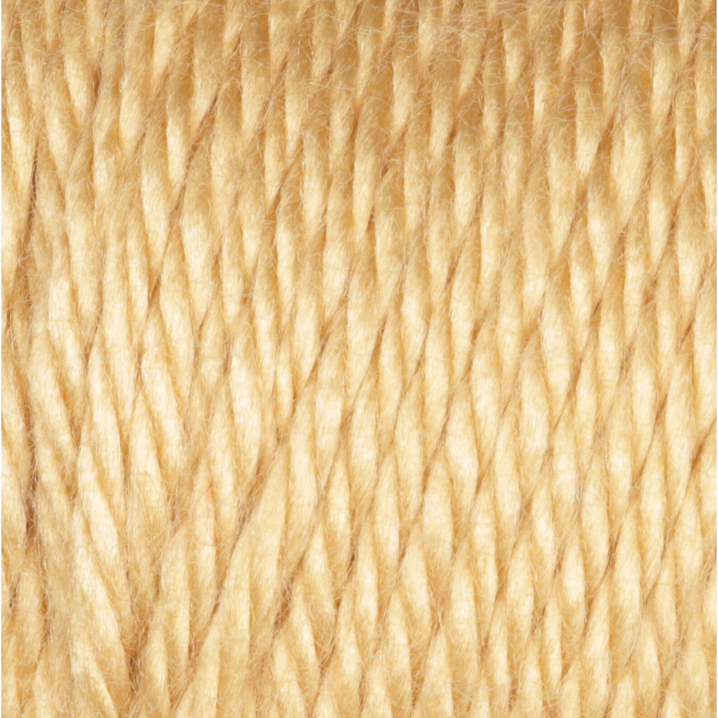 Caron Simply Soft Yarn