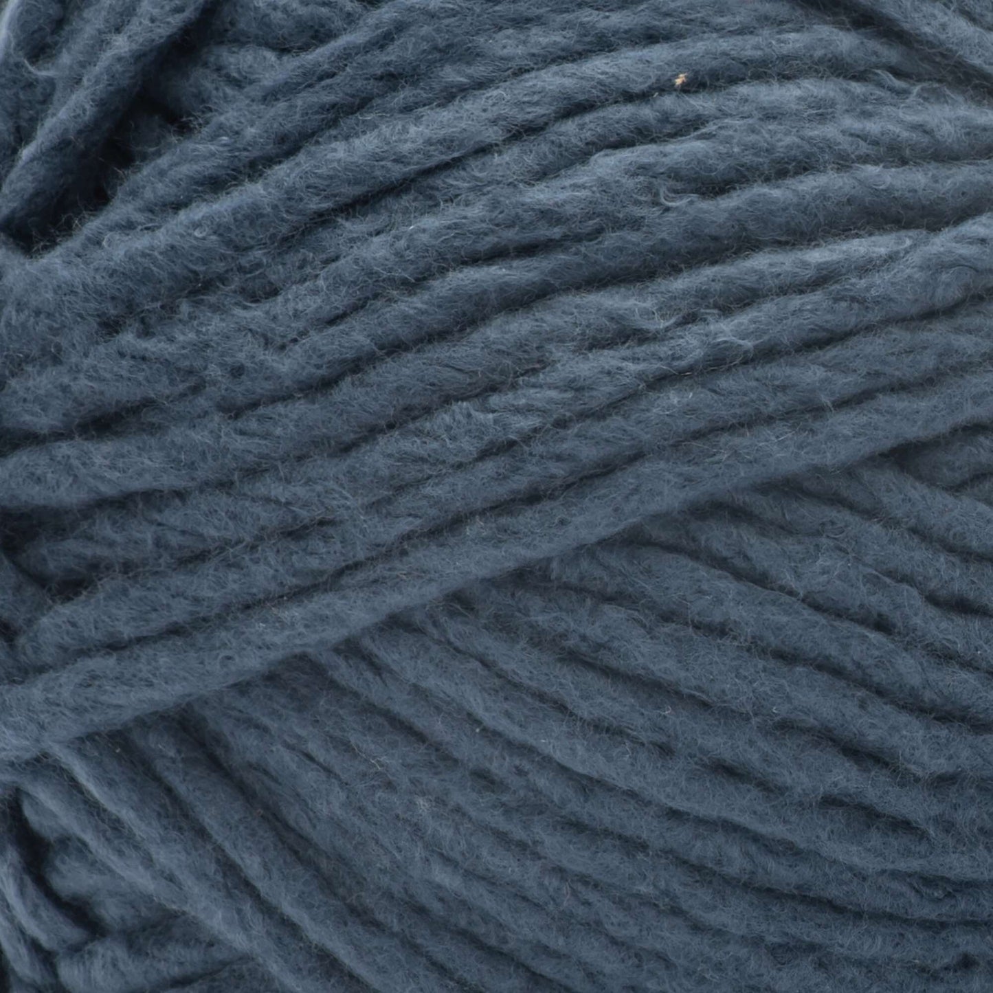 Bernat Forever Fleece Yarn