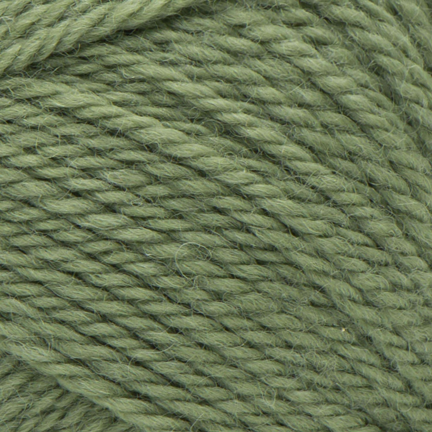 Patons Classic Wool Worsted Yarn - Clearance shades
