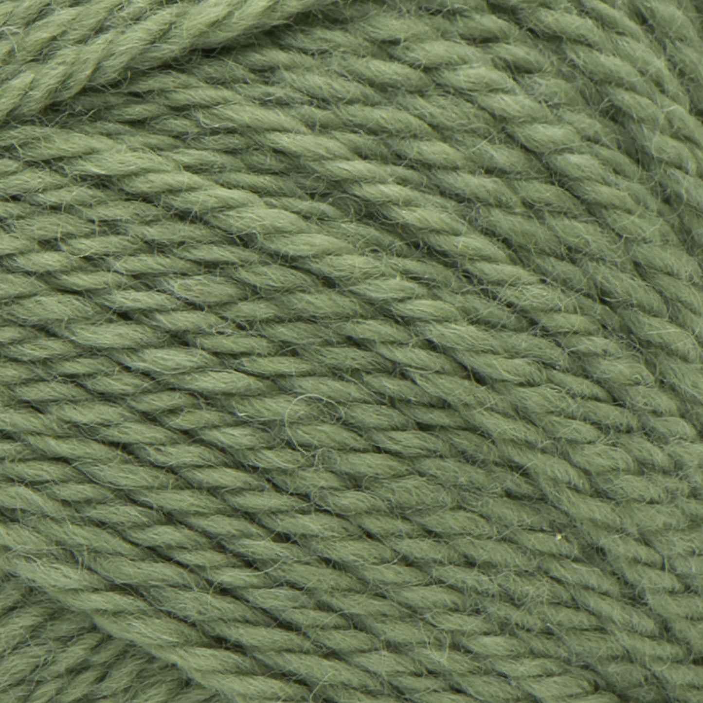 Patons Classic Wool Worsted Yarn - Clearance shades