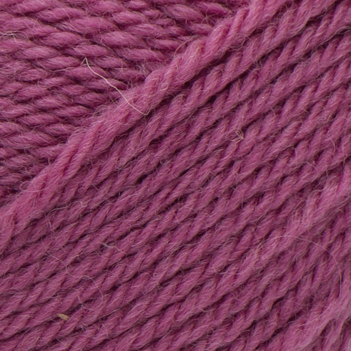 Patons Classic Wool Worsted Yarn - Clearance shades