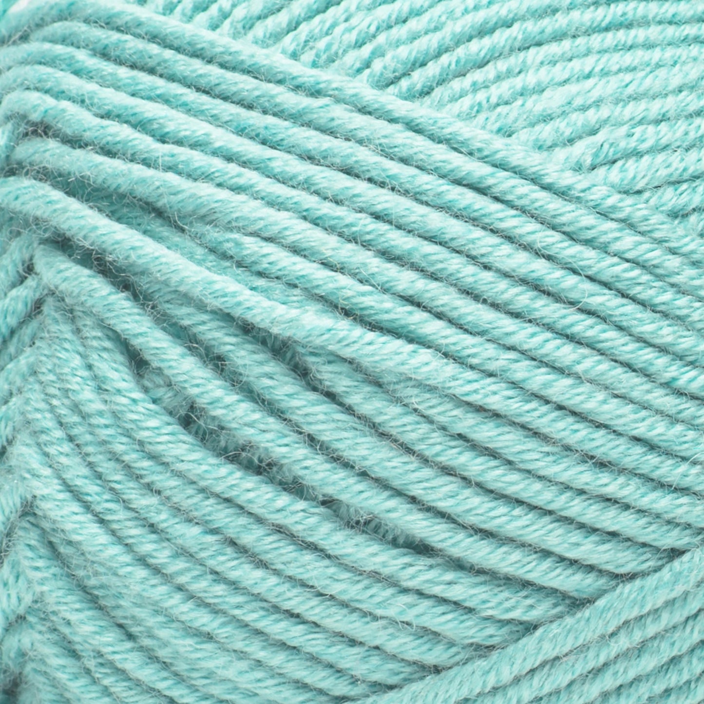 Caron Simply Me Yarn (200g/7oz)