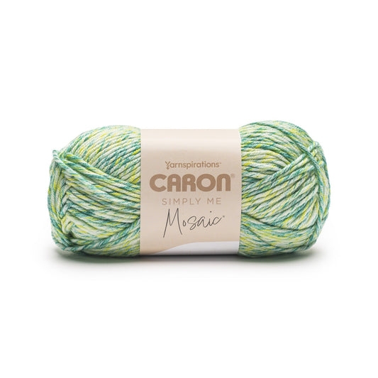 Caron Simply Me Mosaic Yarn (140g/5oz)