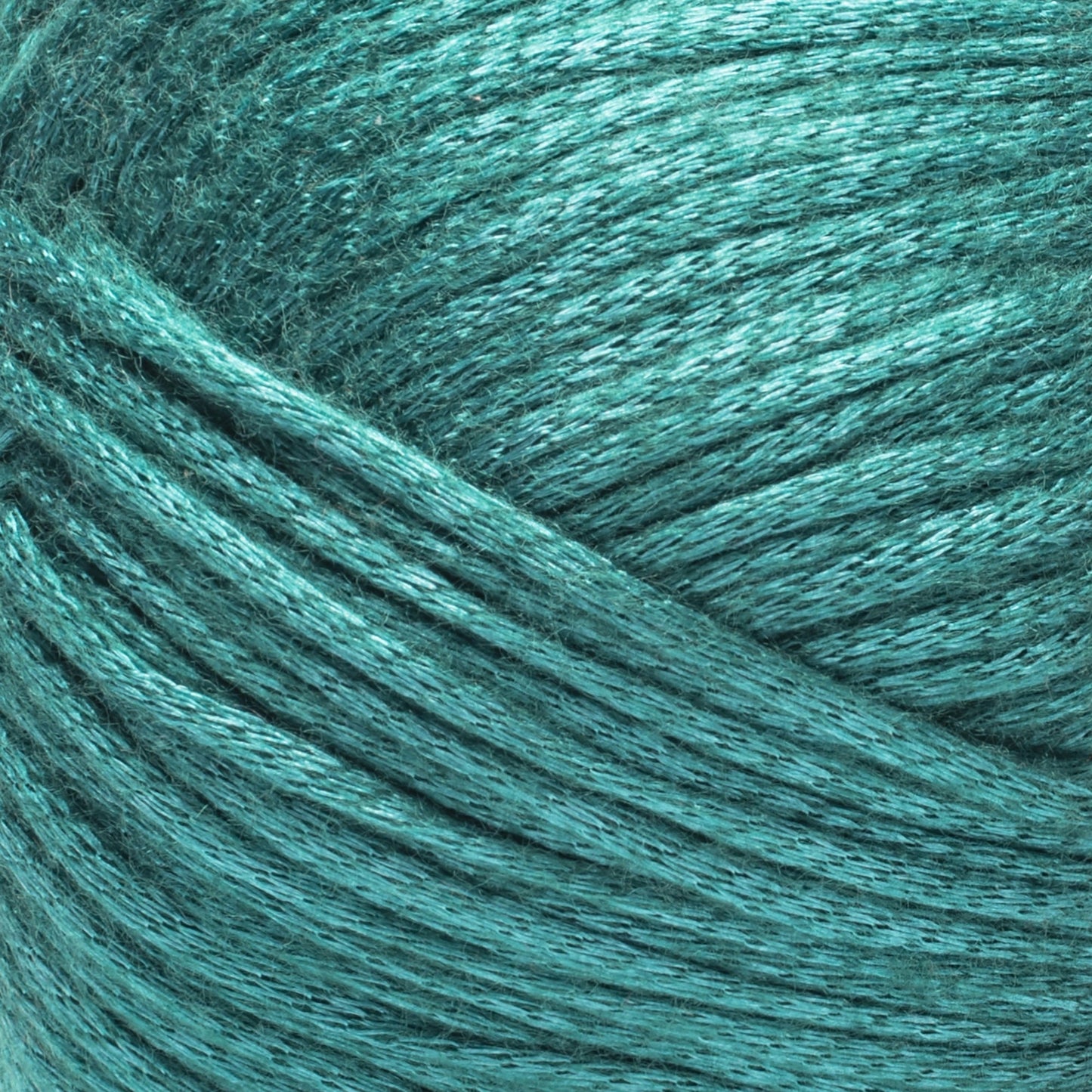 Caron Simply Me Luster Yarn (170g/6oz)
