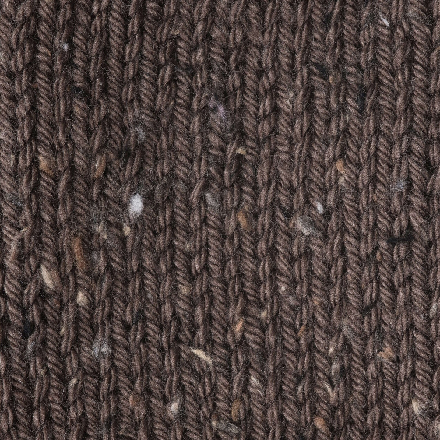 Caron Simply Soft Tweeds Yarn