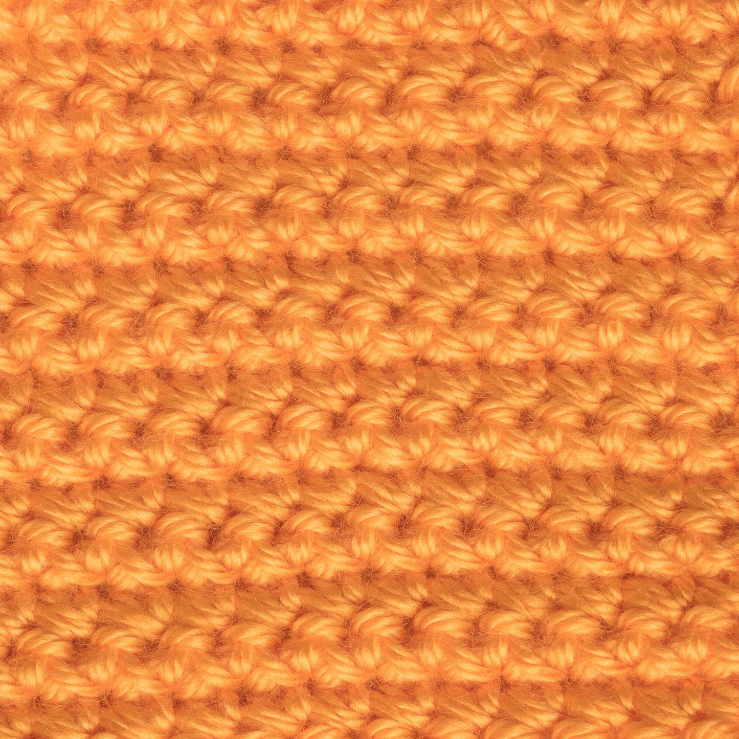 Caron Simply Soft Brites Yarn