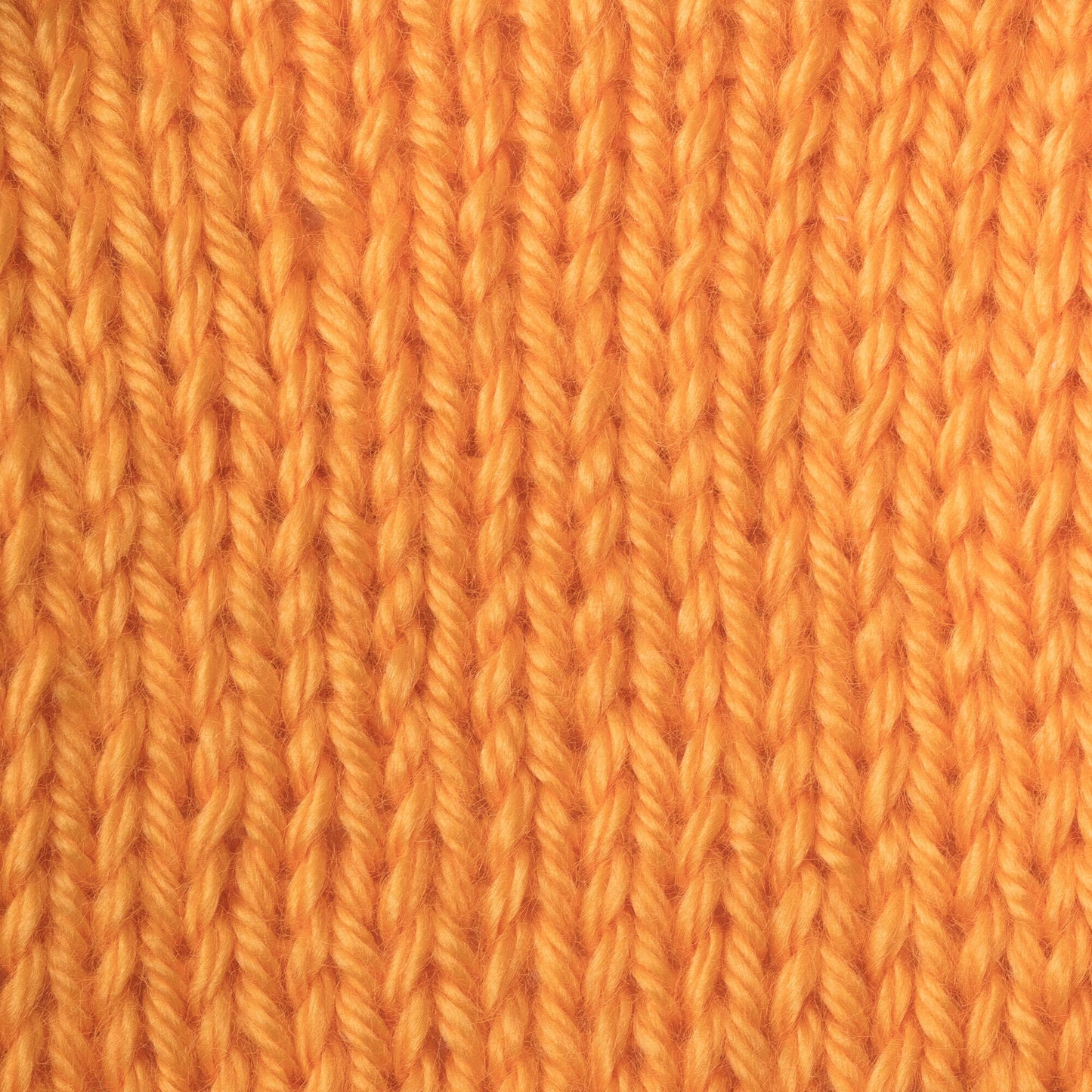 Caron Simply Soft Brites Yarn
