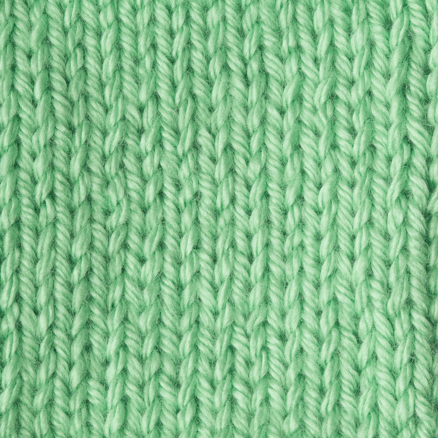 Caron Simply Soft Brites Yarn