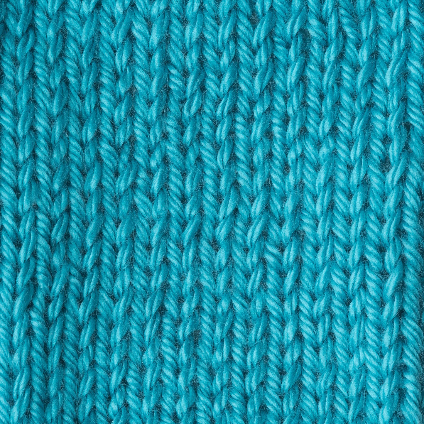 Caron Simply Soft Brites Yarn