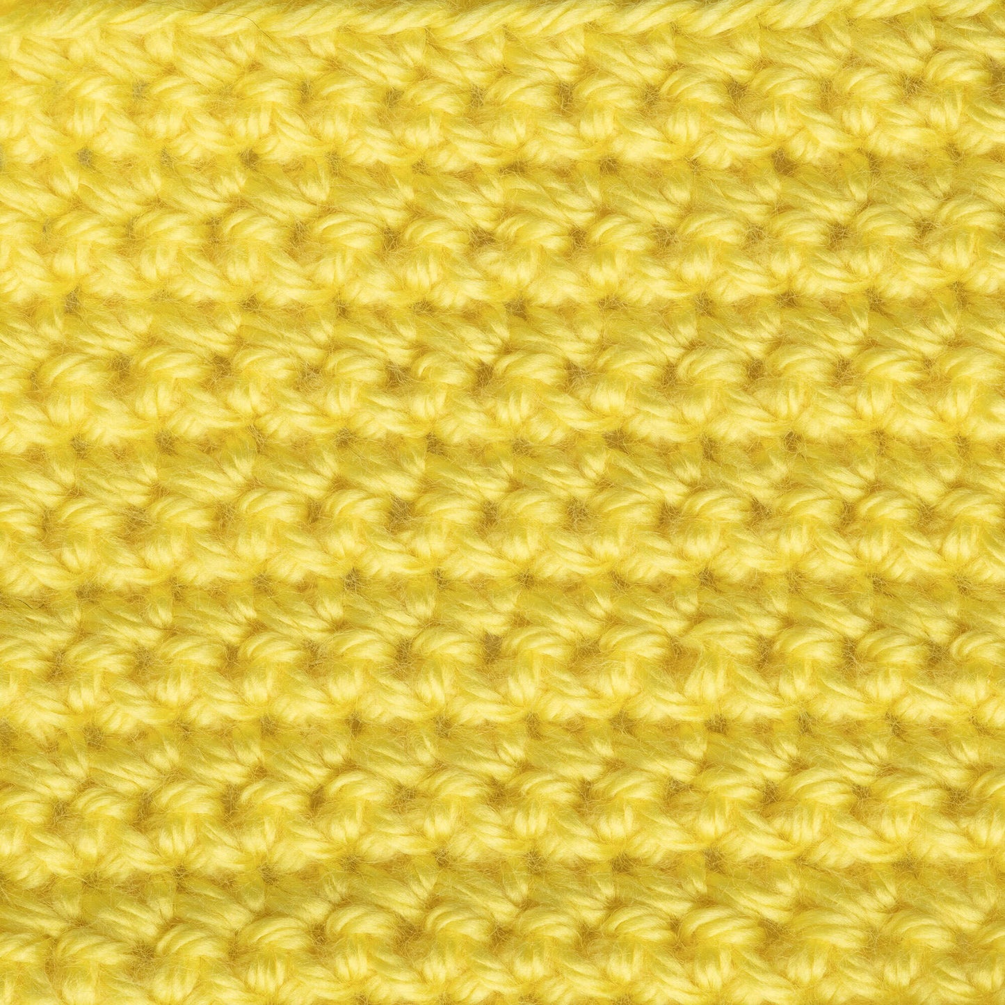 Caron Simply Soft Brites Yarn