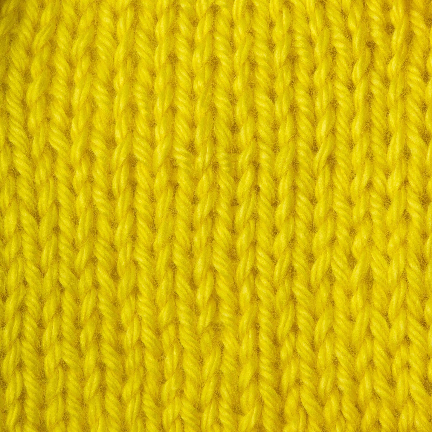 Caron Simply Soft Brites Yarn